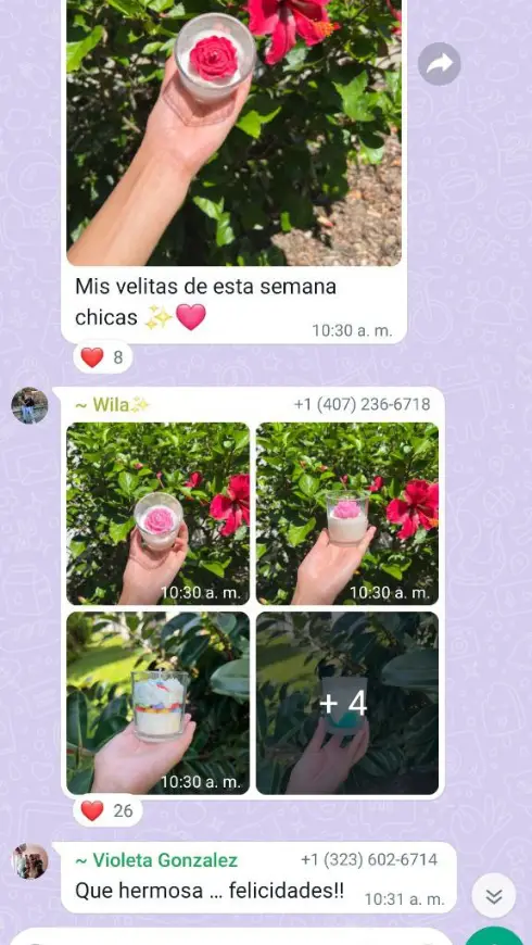 3 (1)